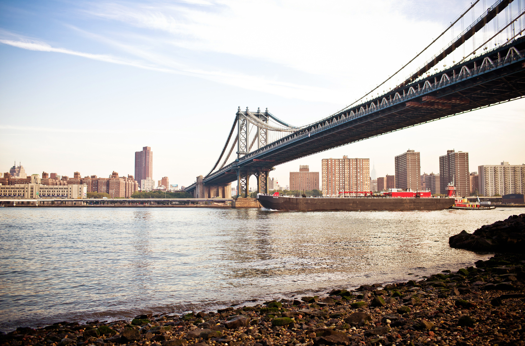 Project title goes here